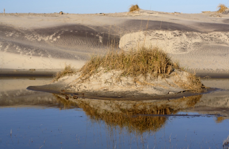 watery dune